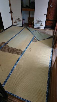 fukuchiyama1.JPG