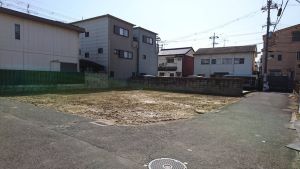 kounoike6.jpg
