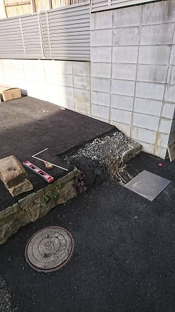 o0960170614649452118.jpg